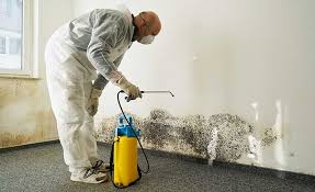 Best Industrial Mold Remediation  in Polkton, NC