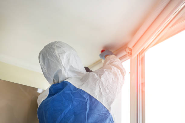 Best Emergency Mold Remediation  in Polkton, NC