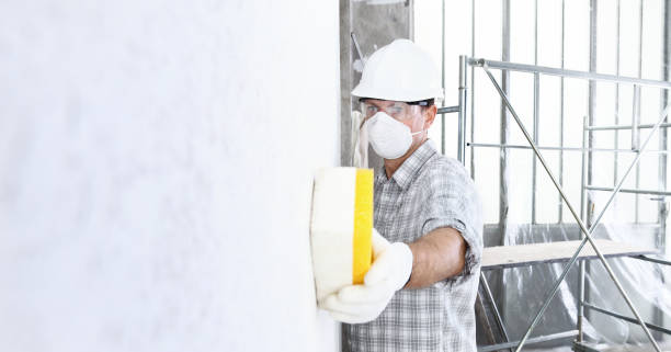 Best Mold Remediation for Healthcare Facilities  in Polkton, NC